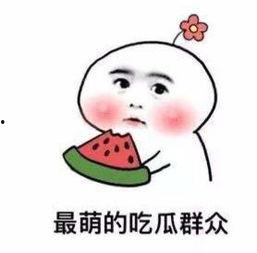 吃瓜不信瓜胡言乱语,胡言乱语的背后真相 第3张 吃瓜不信瓜胡言乱语,胡言乱语的背后真相 第3张